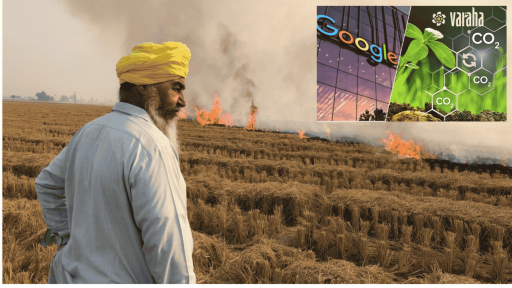goolge 200mn carbon market bet