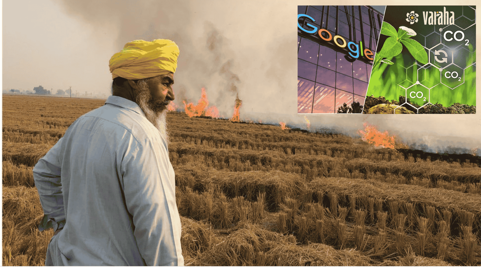 goolge 200mn carbon market bet