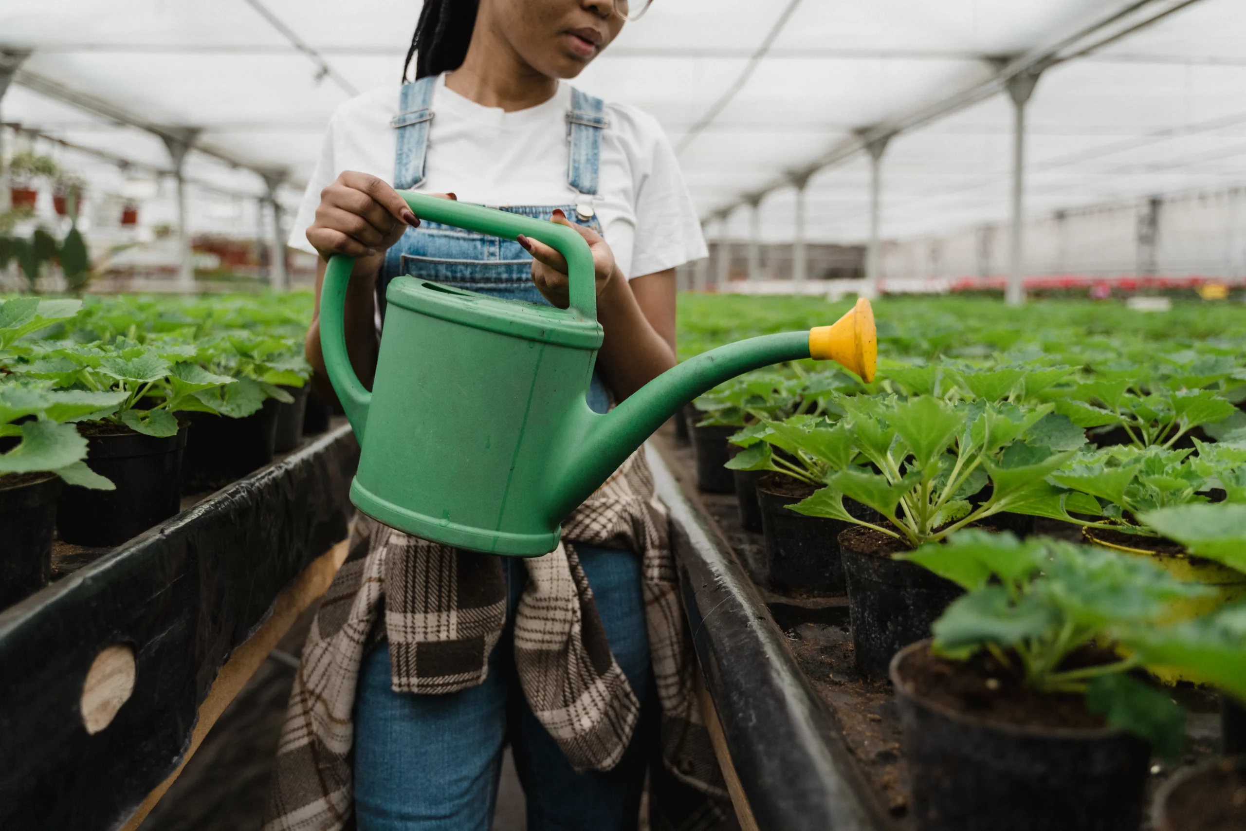 Woman watering plants in a greenhouse, symbolizing sustainable practices and the environment, relevant to ESG training and courses.